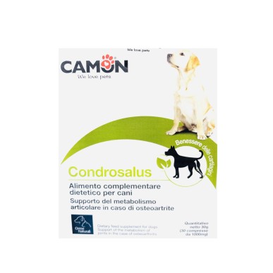 Condrosalus - גלוקוזמין לכלבים